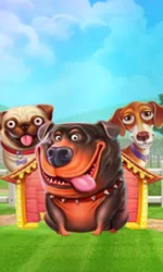 The Dog House
