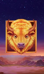 Buffalo's Sun
